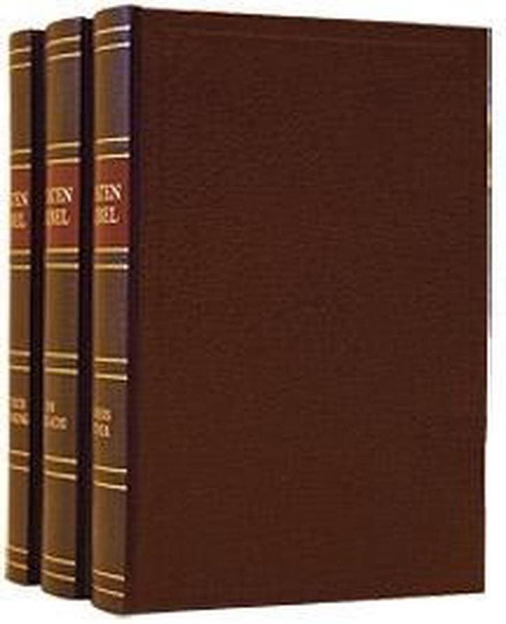 BIJBEL StV MET KANTTEK. 3 DELEN bruin 9789033112515 Cm 17X24, Boeken, Godsdienst en Theologie, Gelezen, Verzenden