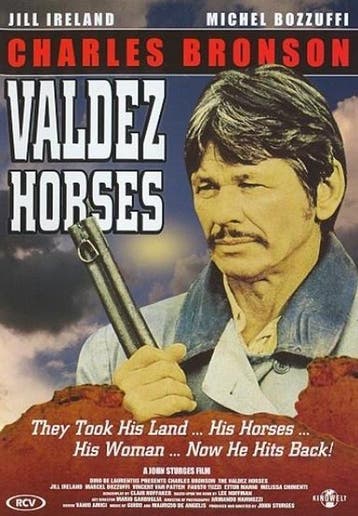 Valdez Horses, CD & DVD, DVD | Classiques, Verzenden, Western