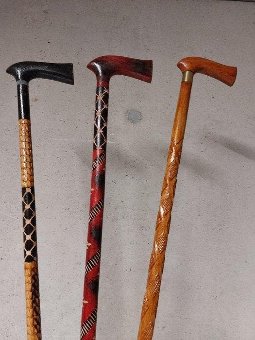 Wandelstok (3) - Hout, Antiek en Kunst, Curiosa en Brocante