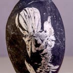 Pierre chrysantheme en andalousite - Pierre de fleur fossile, Collections, Minéraux & Fossiles