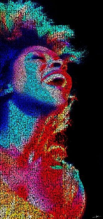 David Law - Crypto Tina Turner V - Format XL 60x60