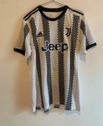 Juventus - Italiaanse voetbal competitie - Federico Chiesa -, Nieuw