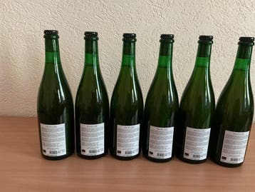 Cantillon - Gueuze Sinds 1900 2025 - 75cl - 6 flessen, Verzamelen, Nieuw