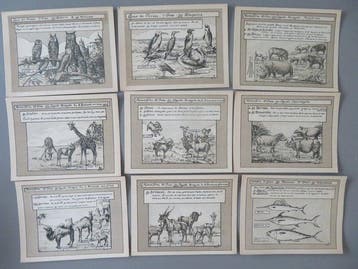 Duitsland - Dieren - 163 postkaarten kaarten chromo,s dieren, Gelopen