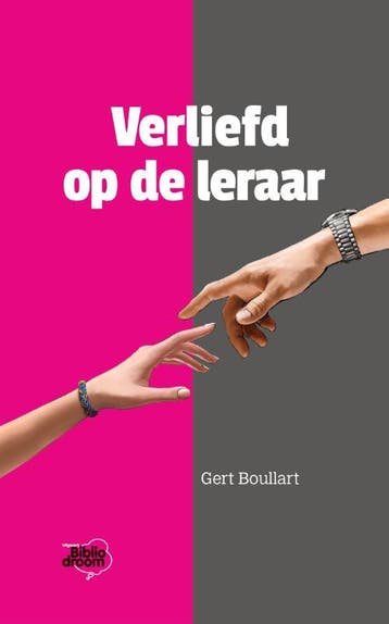 Verliefd op de leraar 9789492515605 Gert Boullart, Verzenden, Gelezen, Gert Boullart