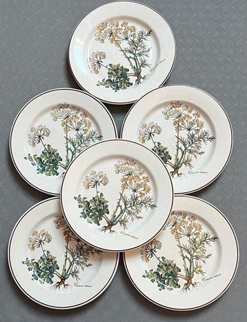 Villeroy & Boch - Assiette (6) - botanica - Porcelaine - 17