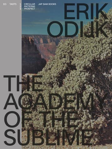 Erik Odijk. The Academy Of The Sublime | Nieuw, Verzenden, Nieuw, Ilja Leonard Pfeijffer-Hans Maarten van den Brink-Paul Roncken-Anne Bruggenkamp-Erik Odijk
