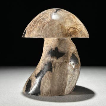 Handgesneden versteend hout paddenstoelen beeld -