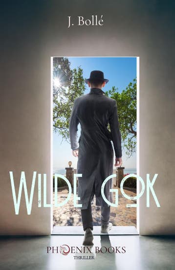 Wilde Gok 9789083140469 Johnny Bollé, Livres, Verzenden, Johnny Bollé