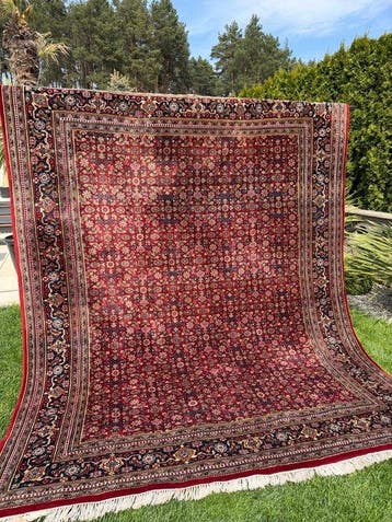 Top Indo Bidjar - Tapis - 320 cm - 250 cm