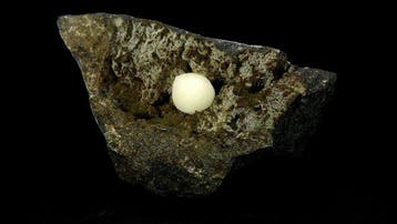 Boule de calcite dans une géode de basalte - Curebourse,