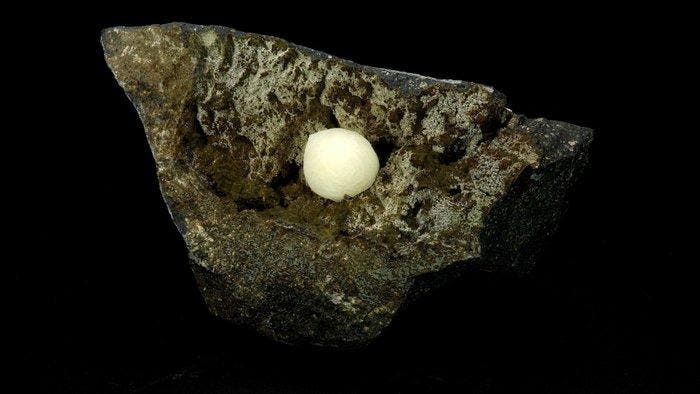 Boule de calcite dans une géode de basalte - Curebourse,, Collections, Minéraux & Fossiles