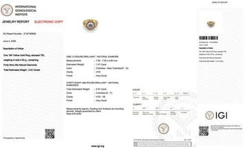 Zonder minimumprijs - Ring - 18 karaat Geel goud - 2.42ct., Nieuw