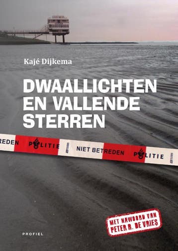 Dwaallichten en vallende sterren 9789052945712 Kajé Dijkema, Boeken, Verzenden, Gelezen, Kajé Dijkema
