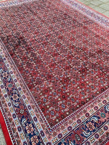 Indo Herati - Tapijt - 353 cm - 254 cm, Nieuw