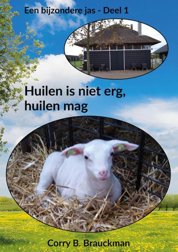 Huilen is niet erg, huilen mag 9789463286152, Verzenden, Gelezen, Corry B. Brauckman