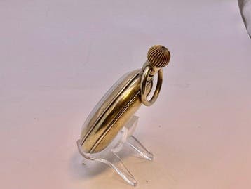 Regulateur Roskopf . Metallo . 1900 . Revisionato . -