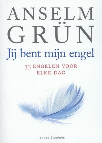 Jij bent mijn engel 9789079956180 Anselm Grun, Verzenden, Anselm Grun