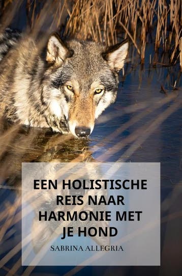 Een holistische reis naar harmonie met je hond 9789464856354, Verzenden, Sabrina Allegria