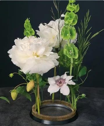 Bloemensteekbol kenzan fakirbed ikebana ring 150 360 messing