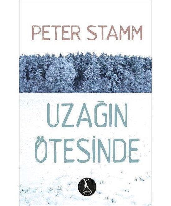 Uzan Ötesinde 9786058188686 Peter Stamm, Boeken, Literatuur, Gelezen, Verzenden