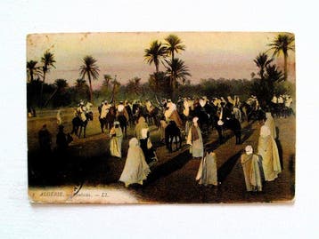 Algérie - Fantasia - Ouled Naïls - Mosquées - Fête - Types