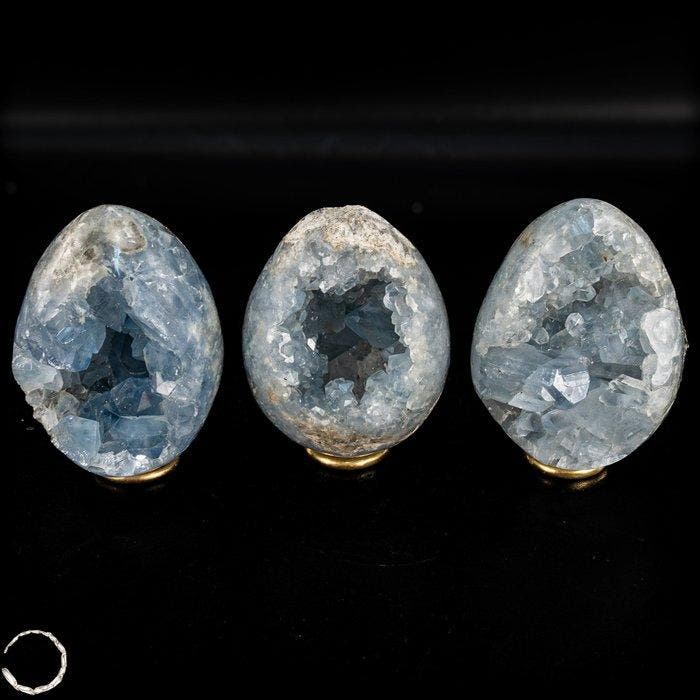 Adembenemend Celestiet-Ei-Drusen-Set – hemelsblauw, Collections, Minéraux & Fossiles