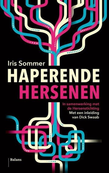 Haperende hersenen 9789460030581 Iris Sommer, Verzenden, Iris Sommer