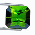 Groen Toermalijn - 14.29 ct - International Gemological, Nieuw