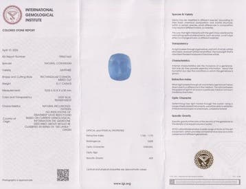 Sans prix de réserve - 1 pcs Bleu Saphir - 5.17 ct -, Nieuw