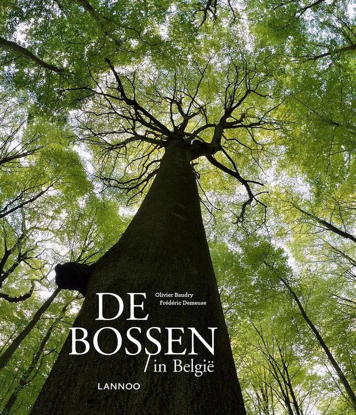 Bossen in België 9782873869151 Olivier Baudry, Livres, Science, Envoi