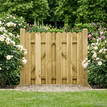 vidaXL Tuinpoort 100 x 100 cm Massief grenenhout Groen, Verzenden, Nieuw
