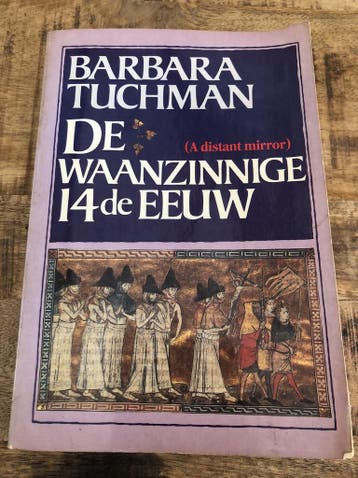 De waanzinnige 14e eeuw 9789010029065 Barbara Tuchman, Verzenden, Gelezen, Barbara Tuchman