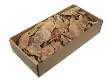 Elfenbankje mini Sponge Mushroom naturel 460 gram, Nieuw