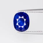 1 pcs Blauw Saffier - 2.60 ct - Asian Institute of, Nieuw