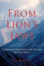 From Lions Jaws 9780995029309 Grant Maclean, Boeken, Verzenden, Gelezen, Grant Maclean
