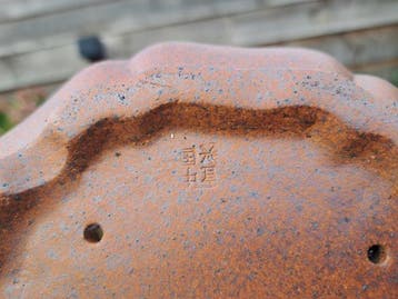 Bonsai schaal - 23,5x23,5x8,5cm - Hoogte (boom): 0 cm -