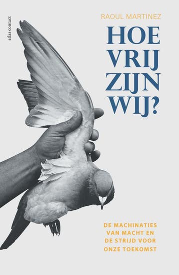 Hoe vrij zijn wij? 9789045025698 Raoul Martinez, Verzenden, Raoul Martinez