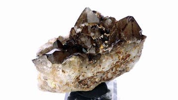 Rookkwarts - Echassieres, Allier, France - Hoogte: 8 cm -
