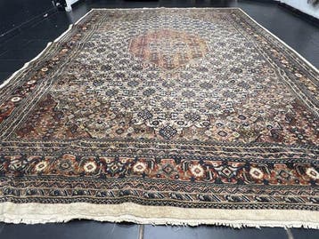 Bidjar - Tapis - 410 cm - 300 cm