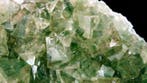 Green Fluorite - de LAvellan-mijn, Tanneron-massief,, Collections, Minéraux & Fossiles