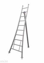 Solide plukladder 10 sporten – 2.75m, Ophalen of Verzenden, Ladder