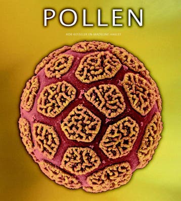 Pollen 9789085712749 Rob Kesseler, Verzenden, Zo goed als nieuw, Rob Kesseler