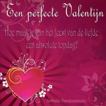 Een perfecte Valentijn 9789079592265 Nathalie Vandecasteele, Verzenden, Zo goed als nieuw, Nathalie Vandecasteele