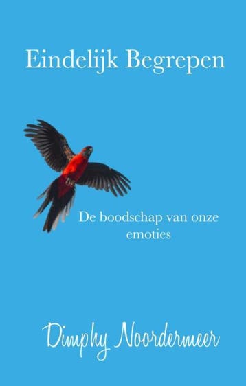 Eindelijk begrepen 9789464027563 Dimphy Noordermeer, Verzenden, Zo goed als nieuw, Dimphy Noordermeer