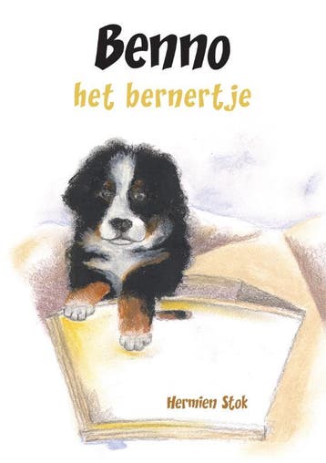 Benno het bernertje 9789048405862 H. Stok, Verzenden, H. Stok