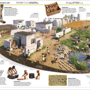 Knowledge Encyclopedia History The Past as Youve Never Seen, Verzenden, Zo goed als nieuw, Dk