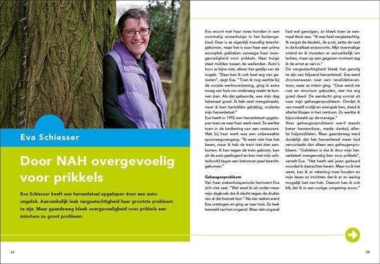 Een lepel in de soep 9789082702200 Hans van Dam, Boeken, Wetenschap, Gelezen, Verzenden