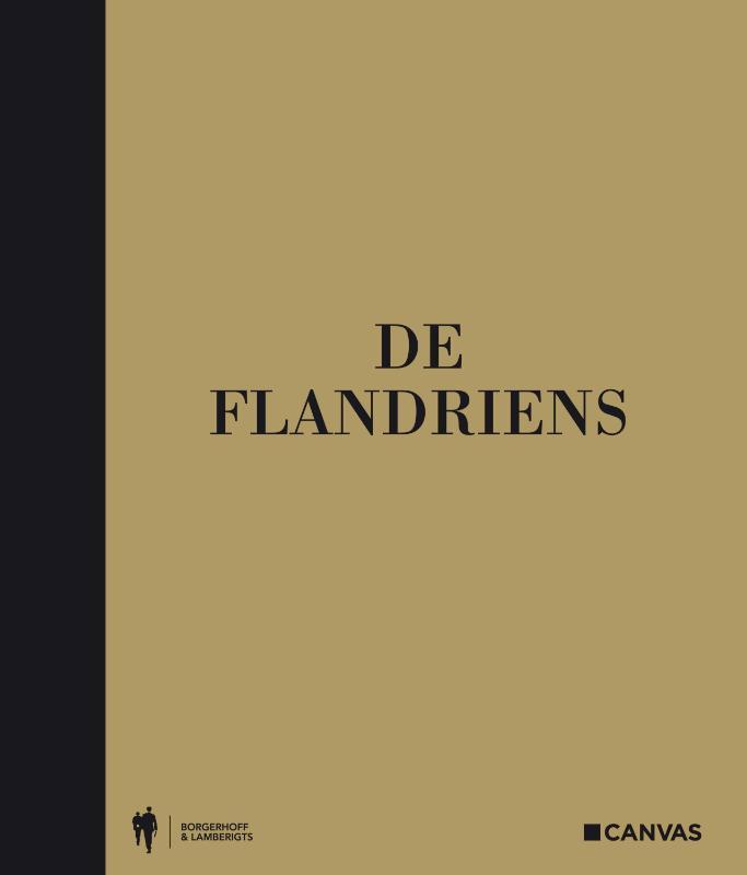De Flandriens 9789089311238 Benno Wauters, Boeken, Hobby en Vrije tijd, Zo goed als nieuw, Verzenden