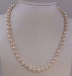 Zonder minimumprijs - Halsketting 7x7,5 mm Akoya Pearls, Nieuw